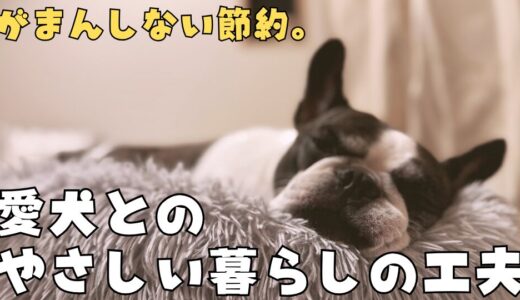 愛犬と心地よく暮らすために。