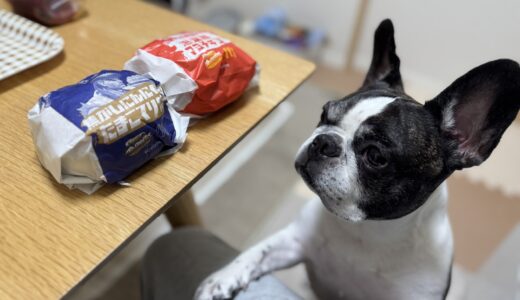 10月26日：フレブルもマックが気になる